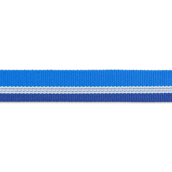 Ruffwear Chain Reaction Martingale Dog Collar